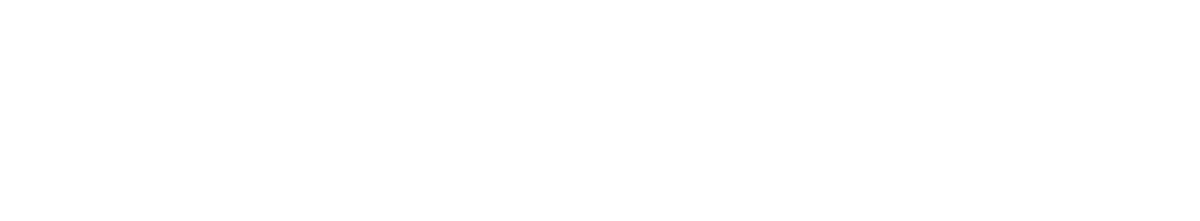 DEIN SPORTBOOTGUTACHTER